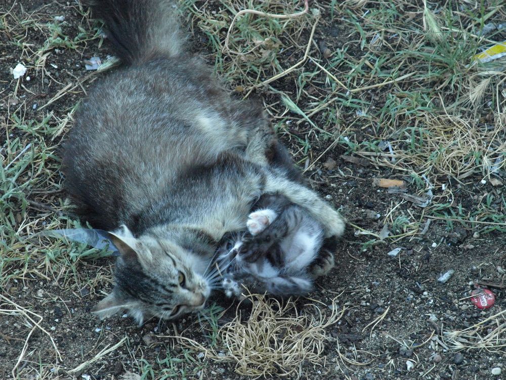 Photograph by Ivana Kolenc