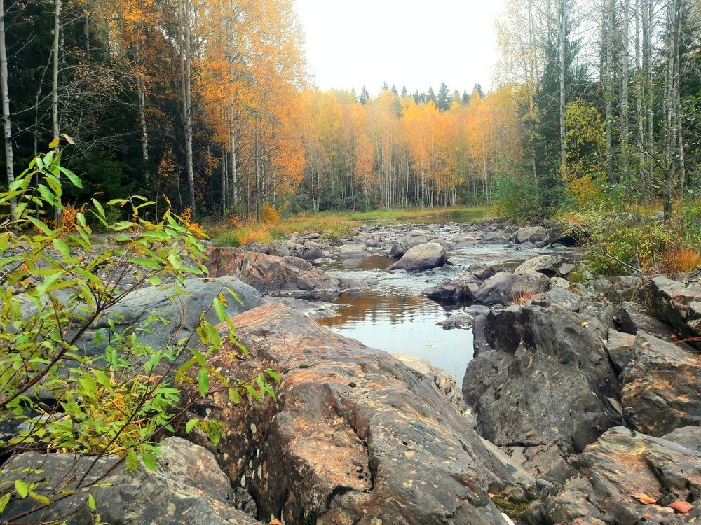 Photograph by Олег Менакер