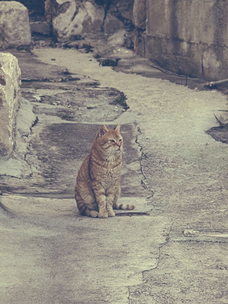 Photograph by Ivana Kolenc