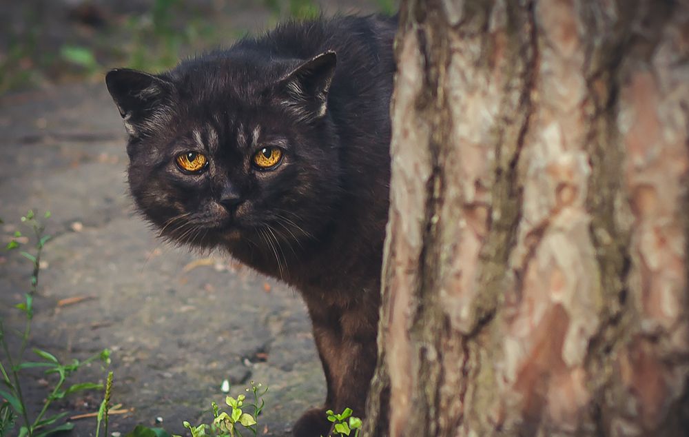 Photograph by Сергей Быков