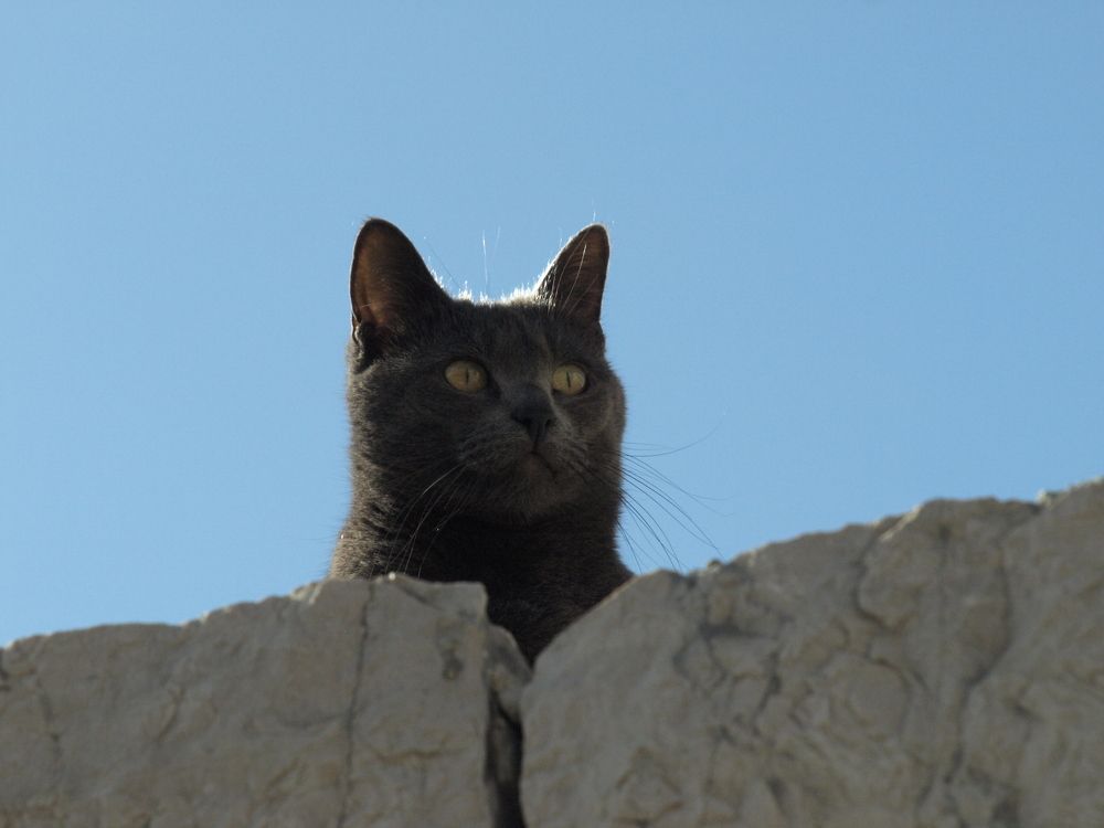 Photograph by Ivana Kolenc