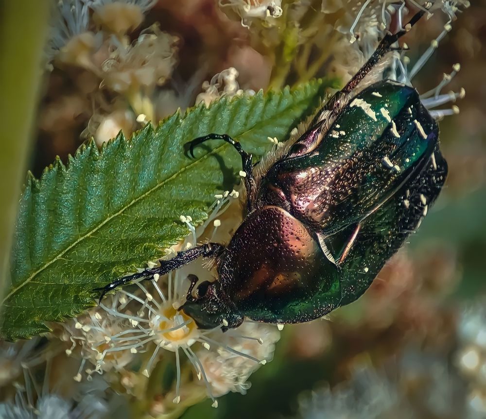 Photograph by Татьяна Радченко