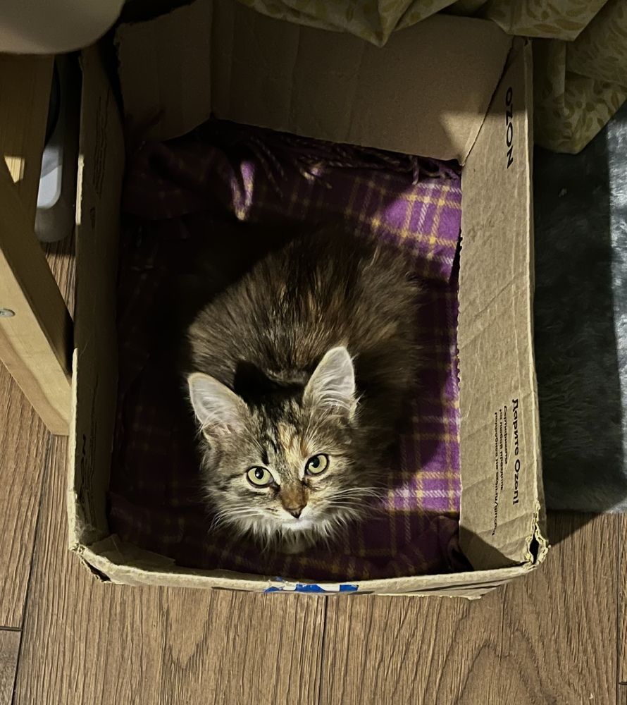 Photograph by Kirill E.