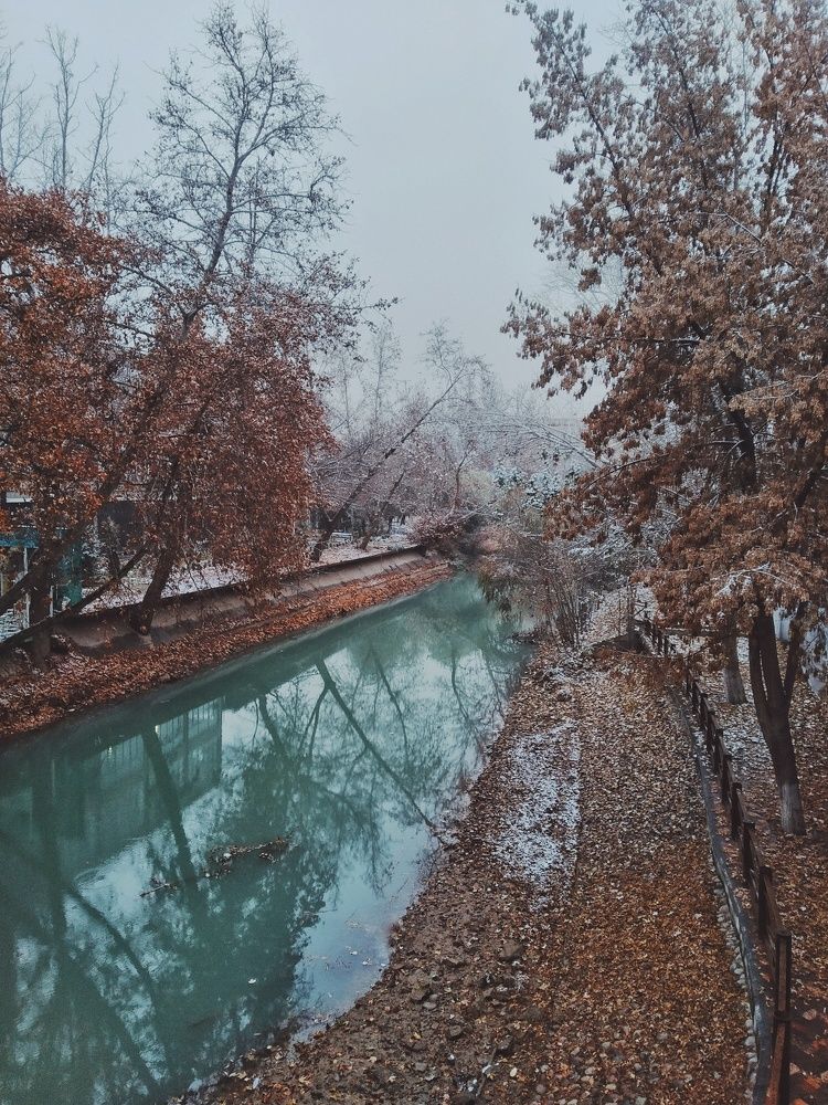 Photograph by Anastasiya Danilova