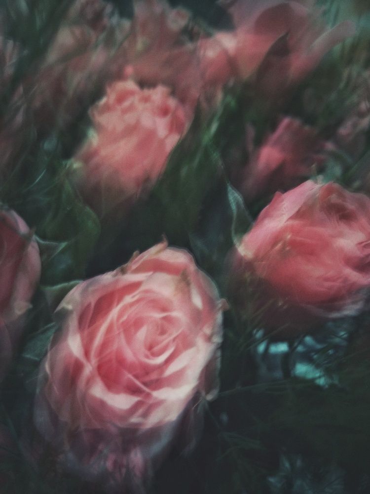 Photograph by Anastasiya Danilova