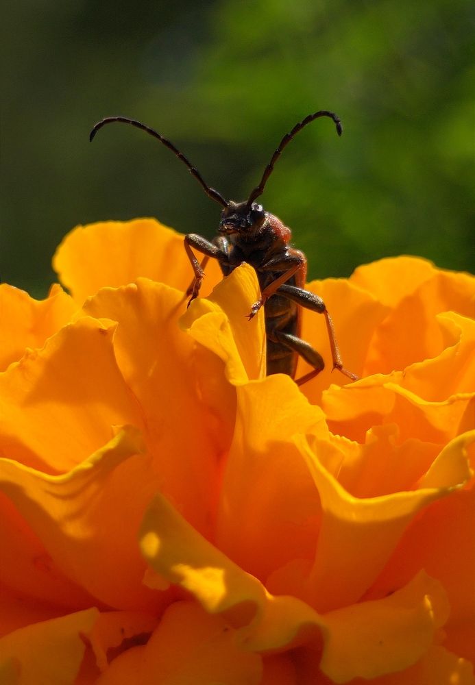 Photograph by Алексей Скворцов