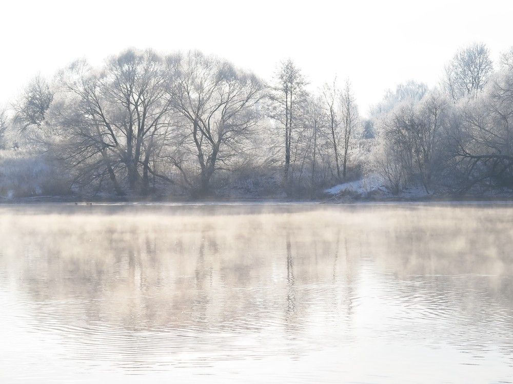 Photo #8704651