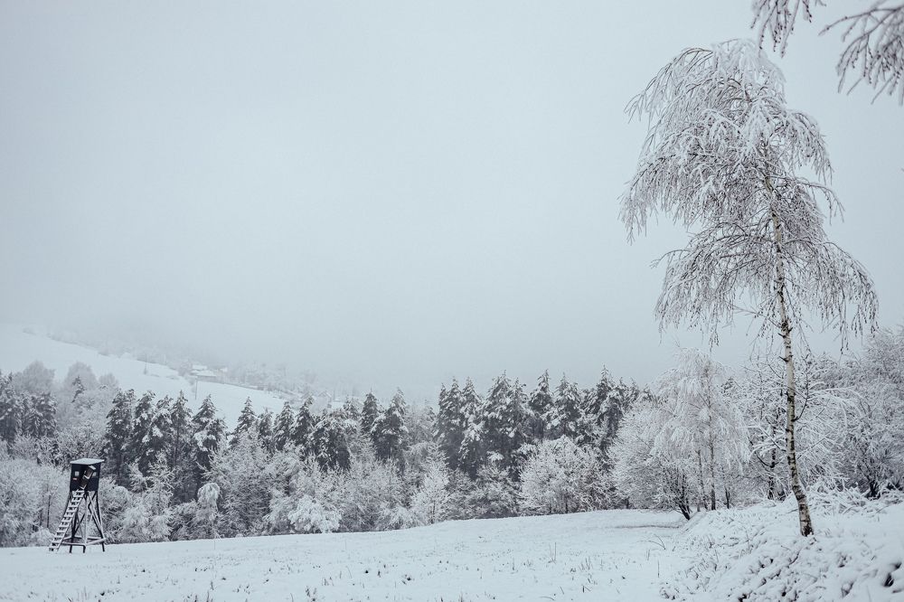 Photograph by Юлия Белозёрова