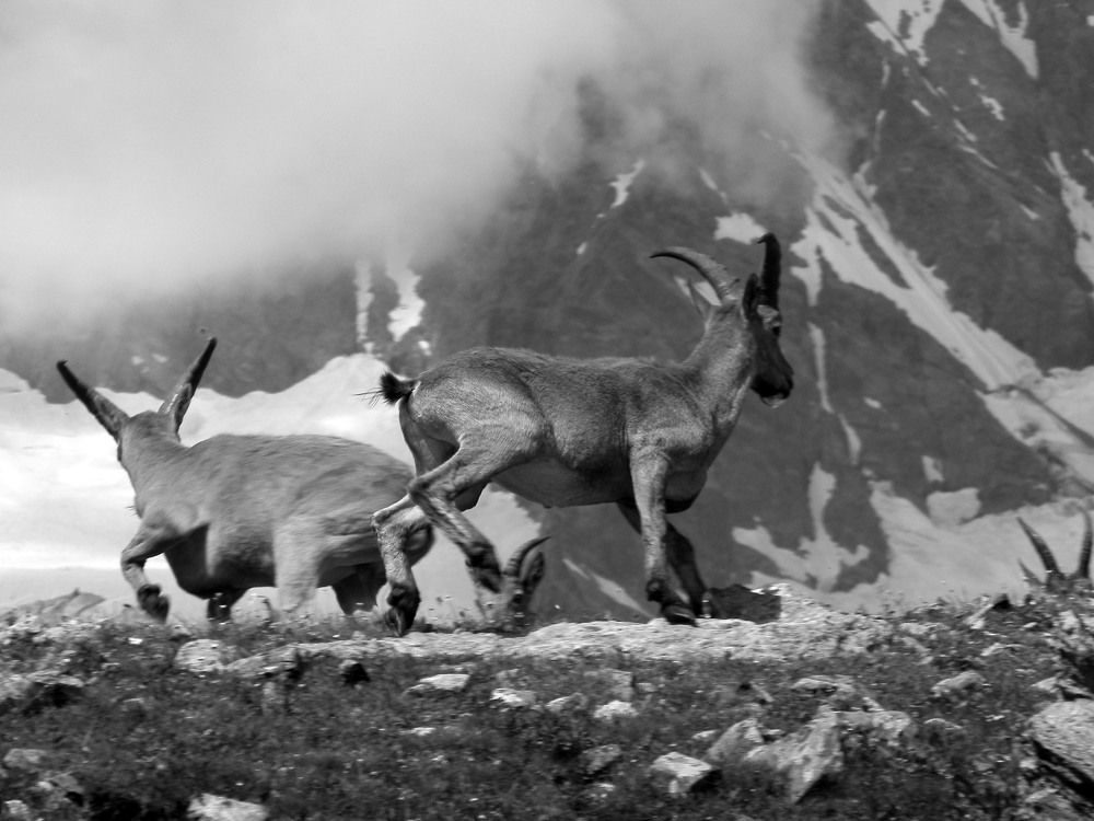 Динамика ...