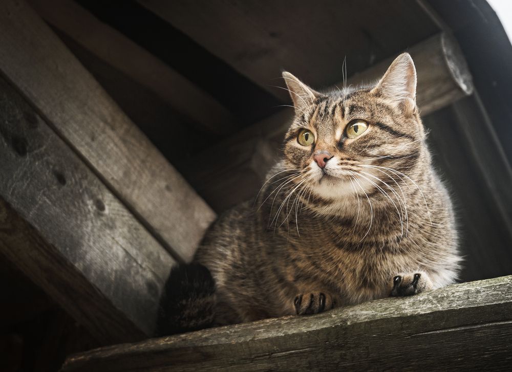 Photograph by Соколова Елена