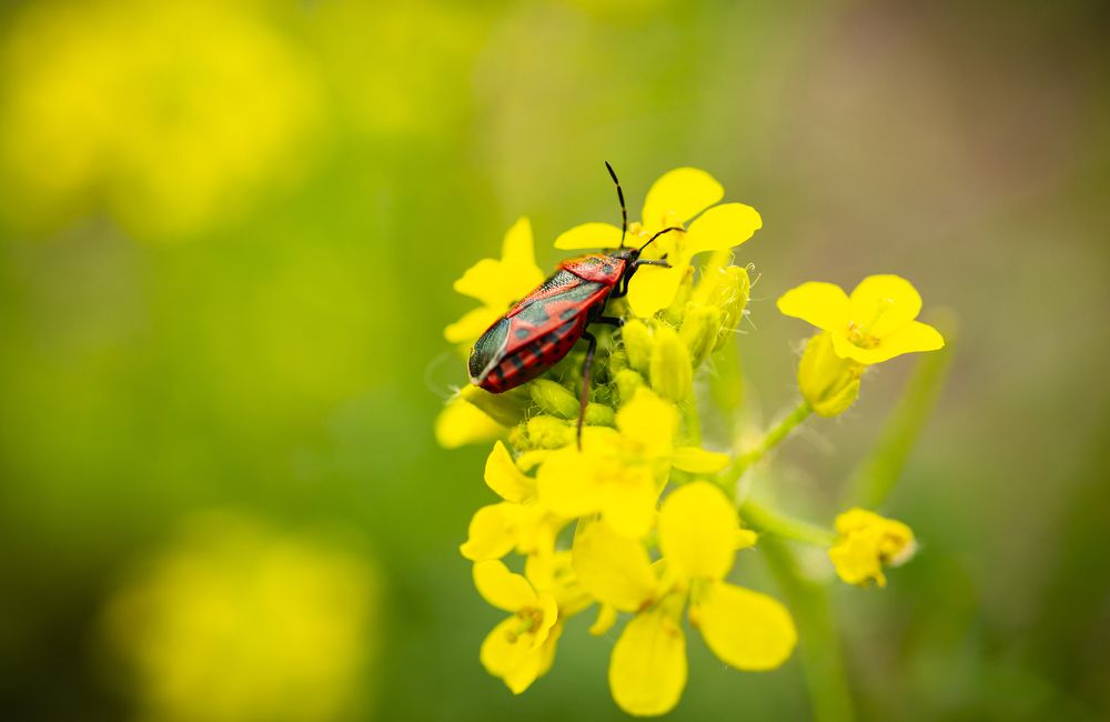 Photograph by Сергей Захаров