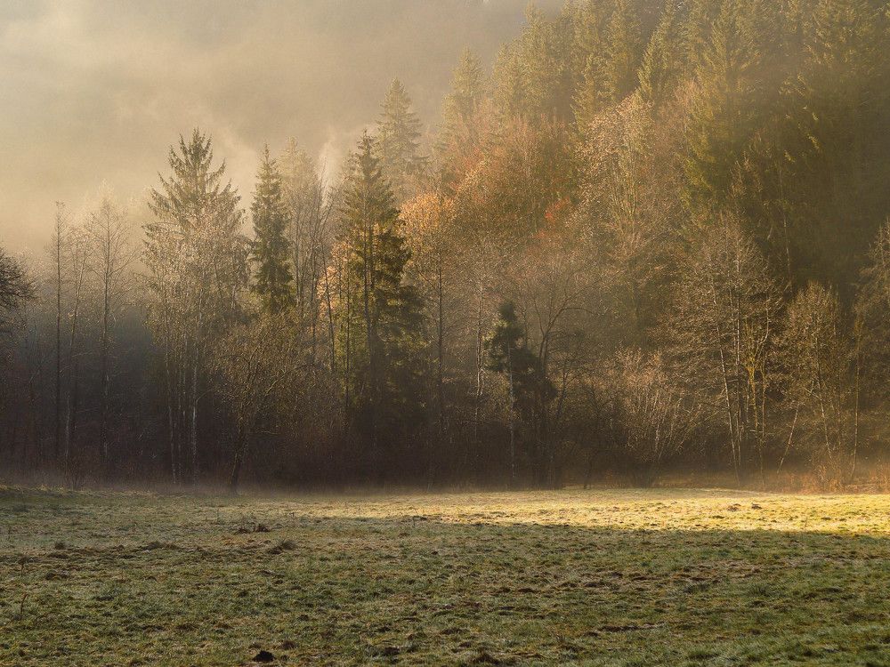 Photograph by Ксения Лаевская