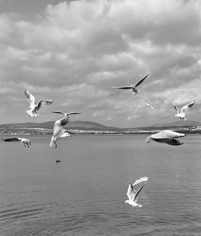 Photograph by Татьяна