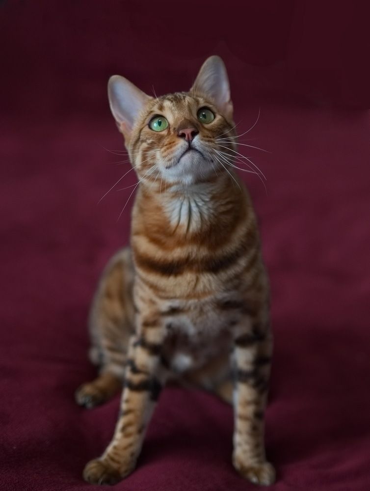 Photograph by Лидия Ушакова