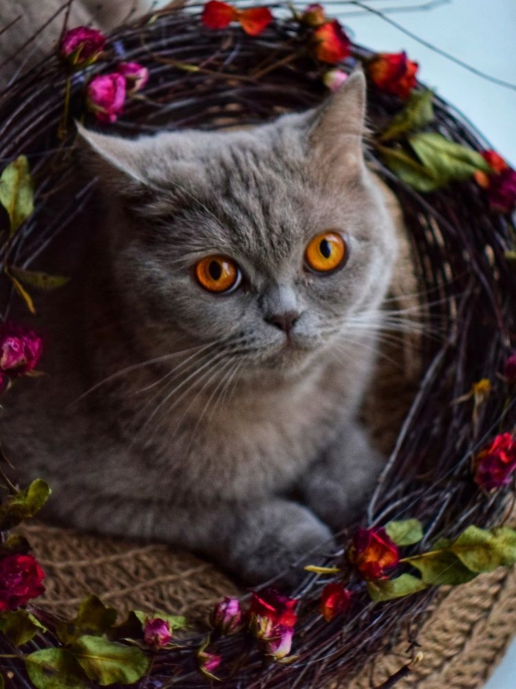 Photograph by Алеся Цеван