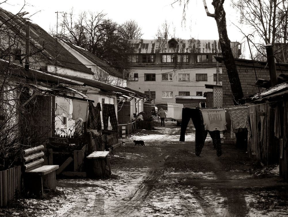 Photo #8704850