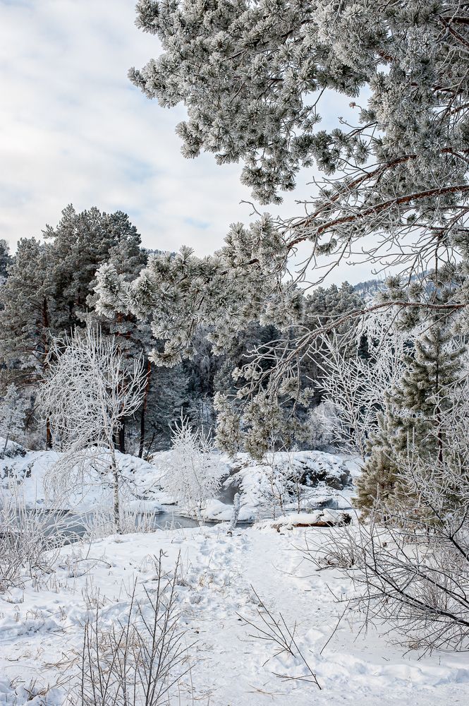 Photograph by Ирина Шерина