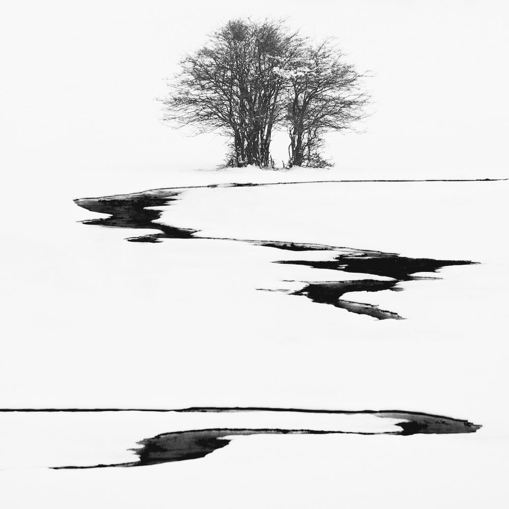 Photograph by Елизавета Калинина