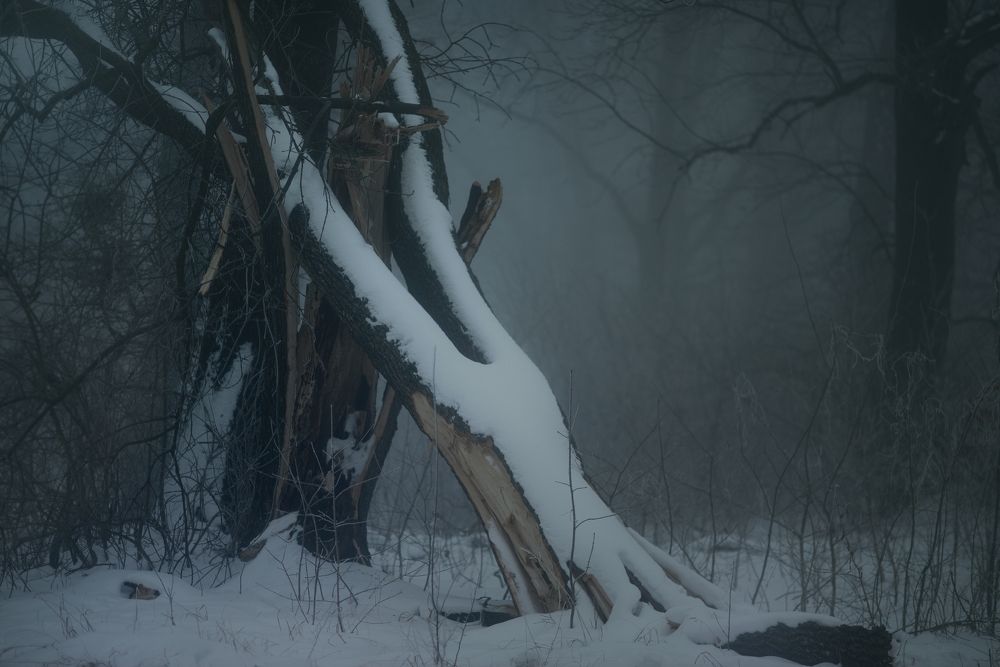 Туманная ночь