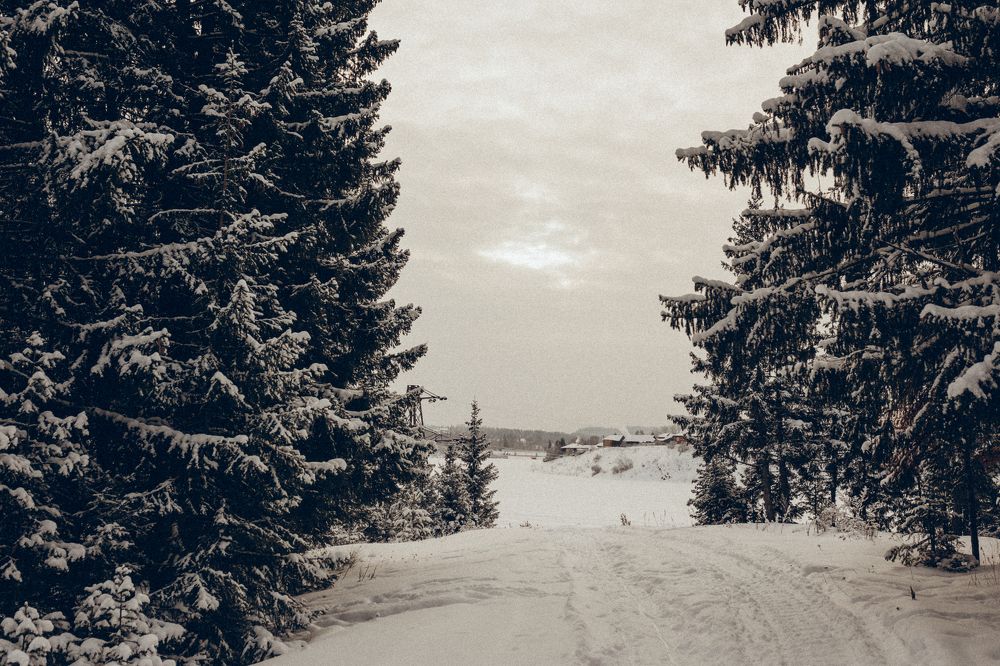 Photograph by Вера Олина