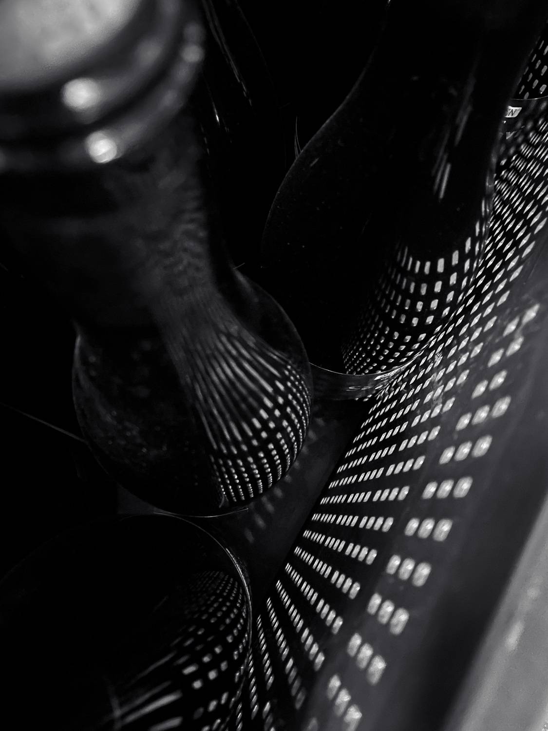Photo #8704909