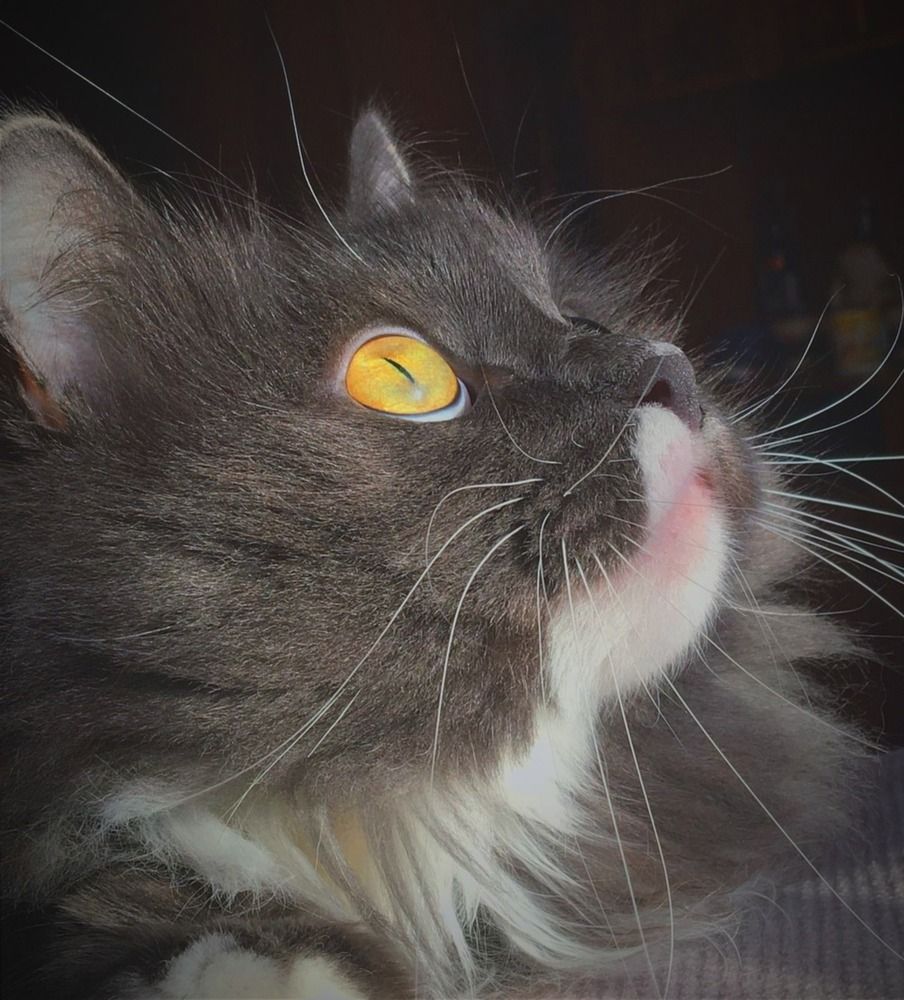 Photograph by Мария Тюшнякова