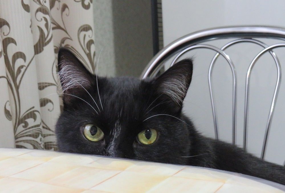 Фотография автора Ирина Лукьянчик