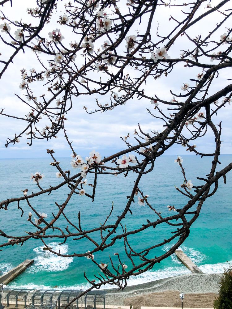 Photograph by Анастасия Дончук