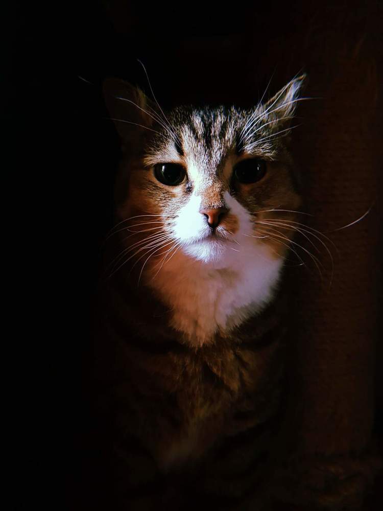 Photograph by Янина Рейфер