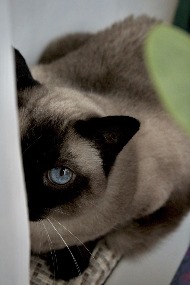 Photograph by Марина Копешкина