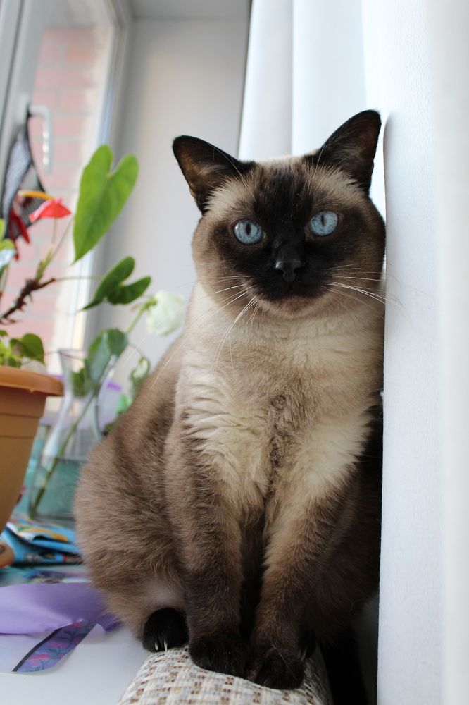 Photograph by Марина Копешкина