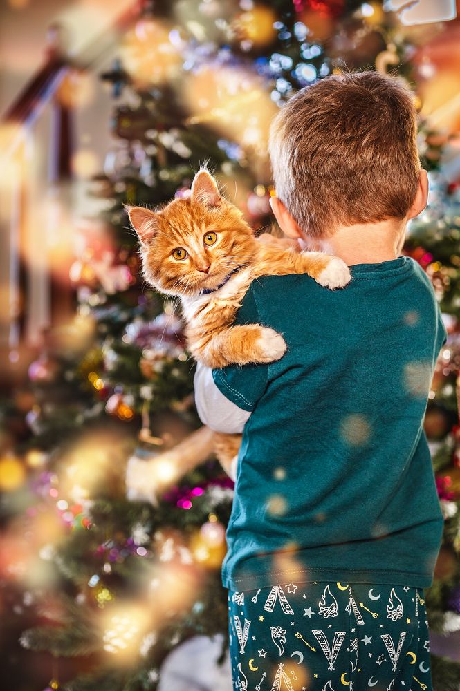 Photograph by Екатерина Казак