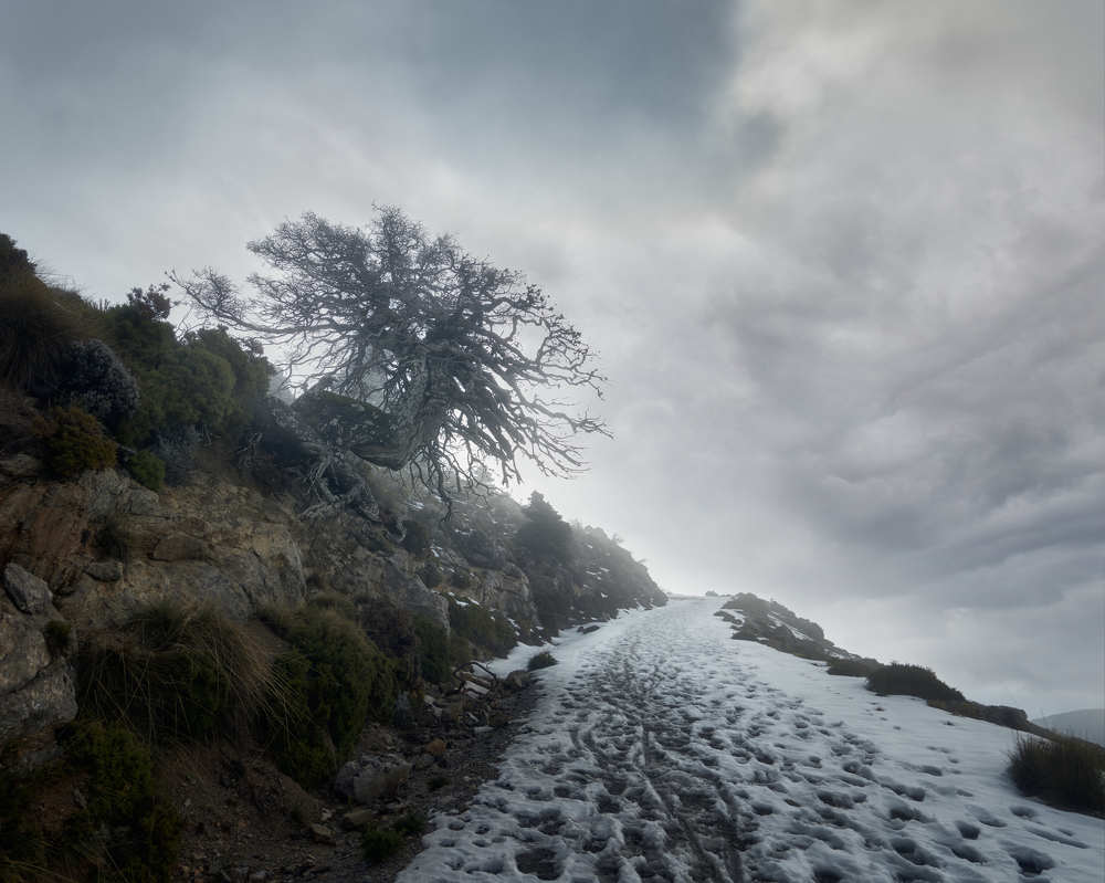 Photograph by Antonio Marquez Lanza