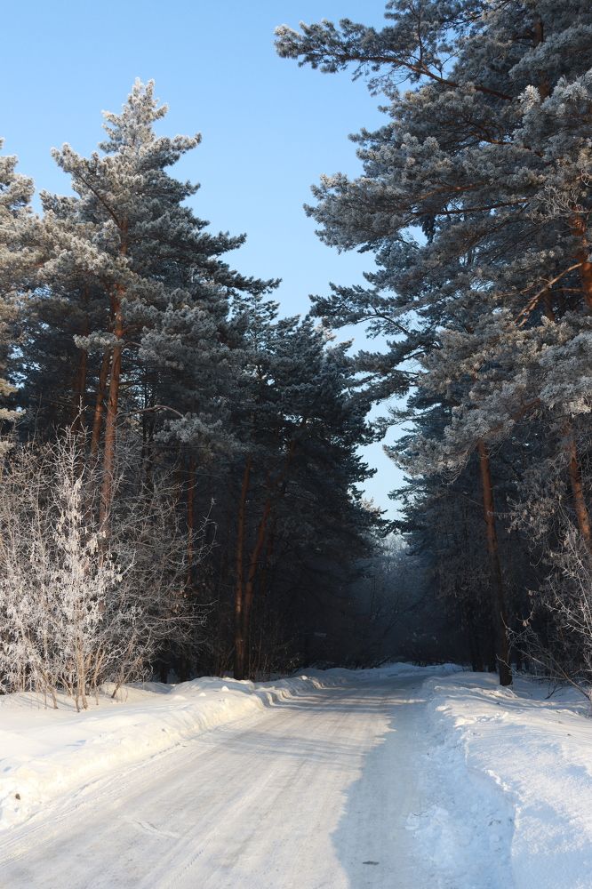 Photograph by Наталья Мотрий