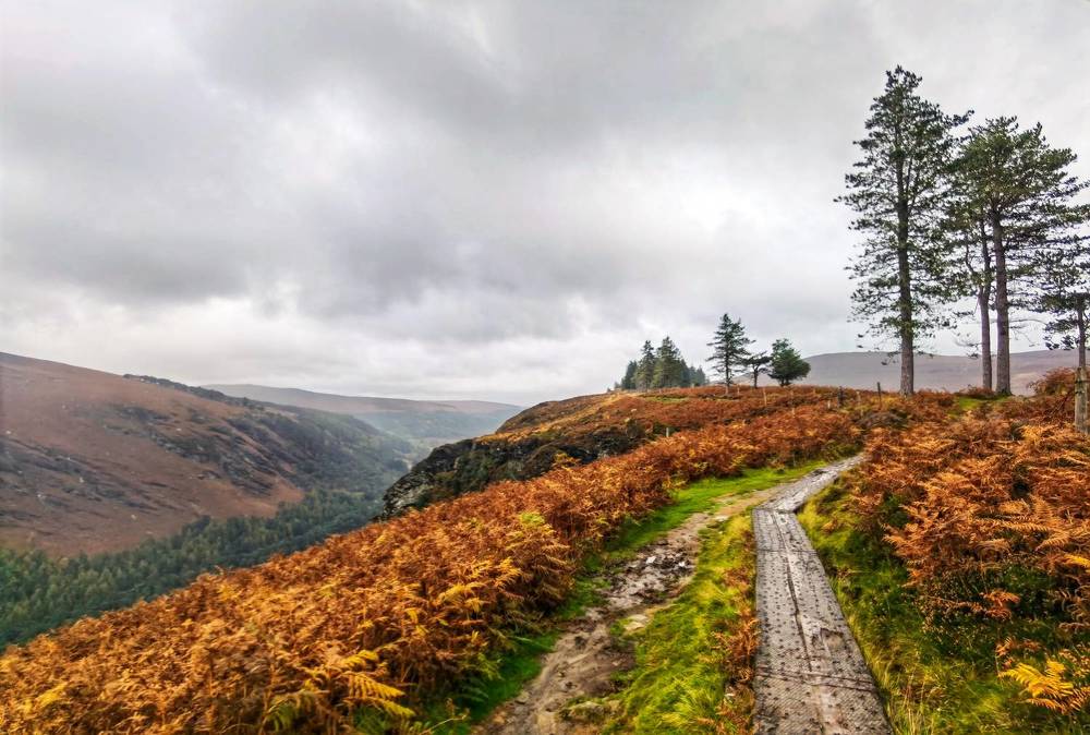 Glendalough Mountains