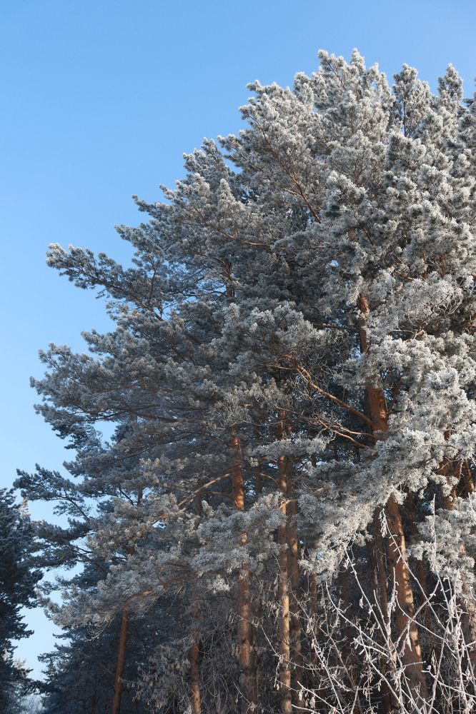 Photograph by Наталья Мотрий