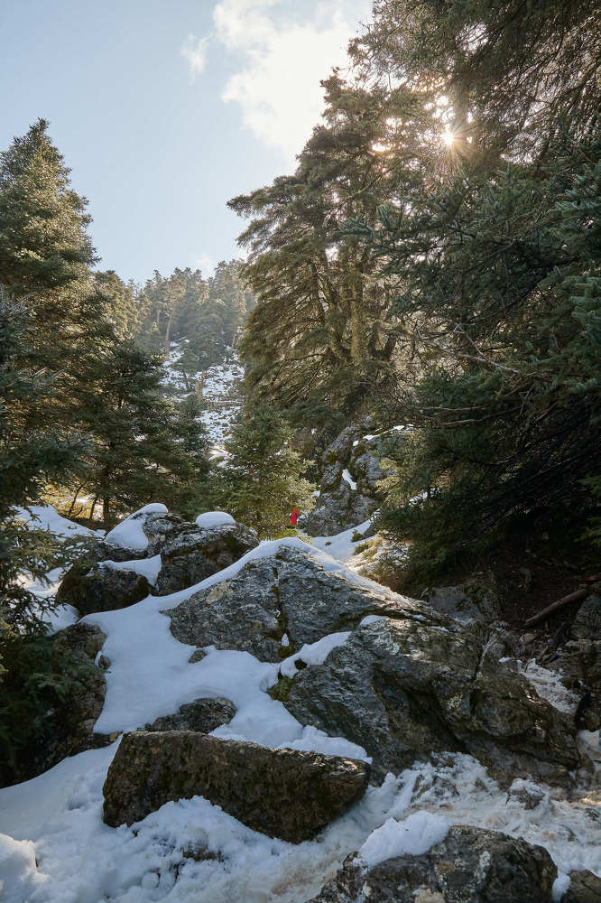 Photograph by Antonio Marquez Lanza