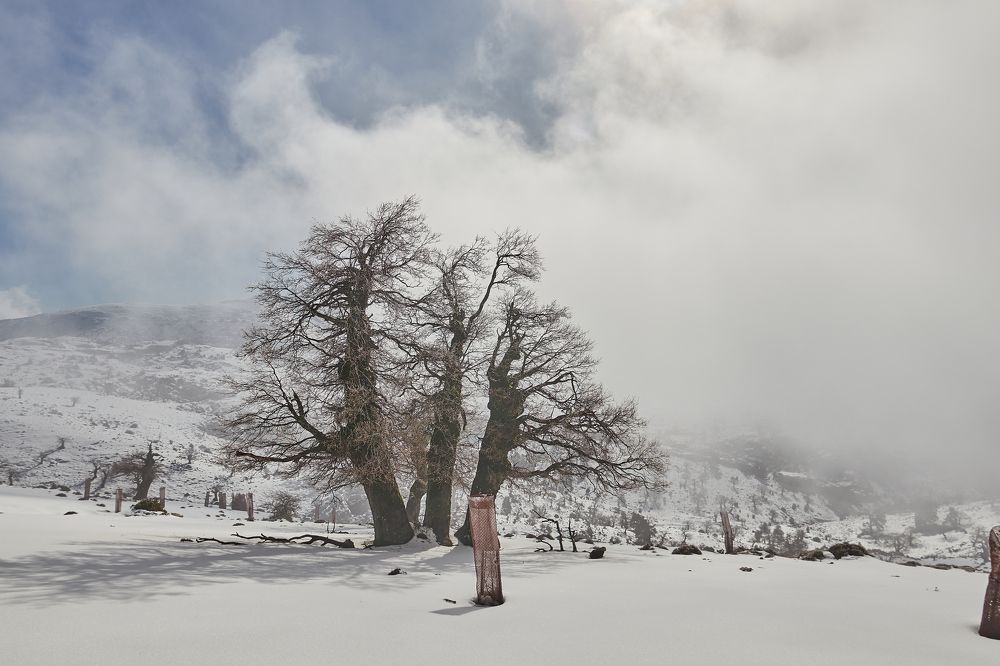 Photograph by Antonio Marquez Lanza