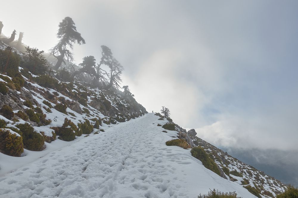 Photograph by Antonio Marquez Lanza