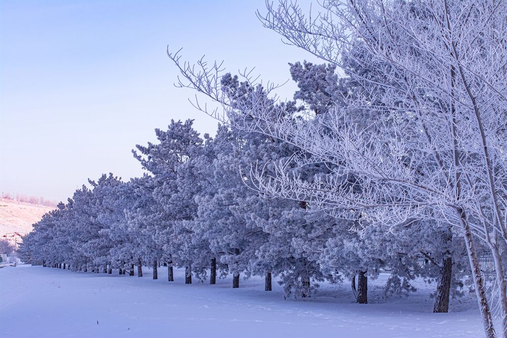 Photograph by TATYANA PEREVALOVA