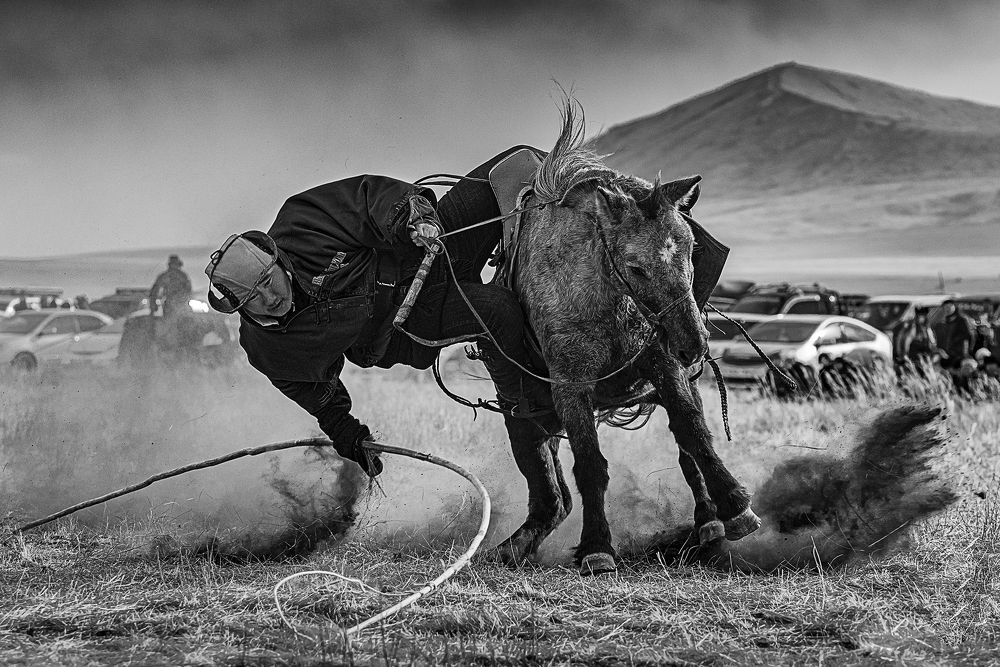 Photograph by Borjigon Bayasal