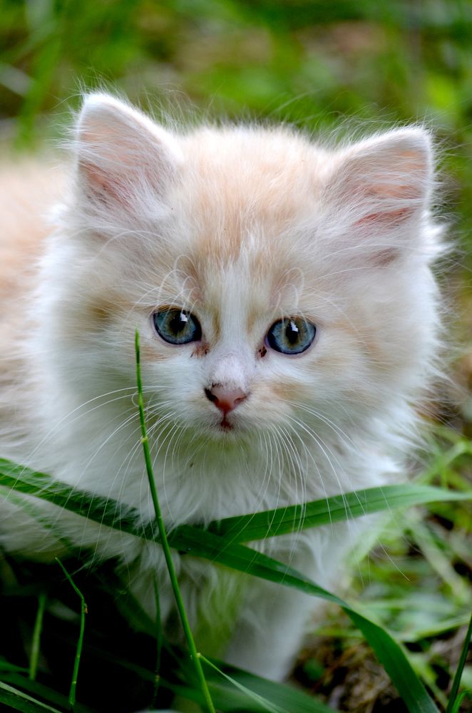 Photograph by Евгений Каримов