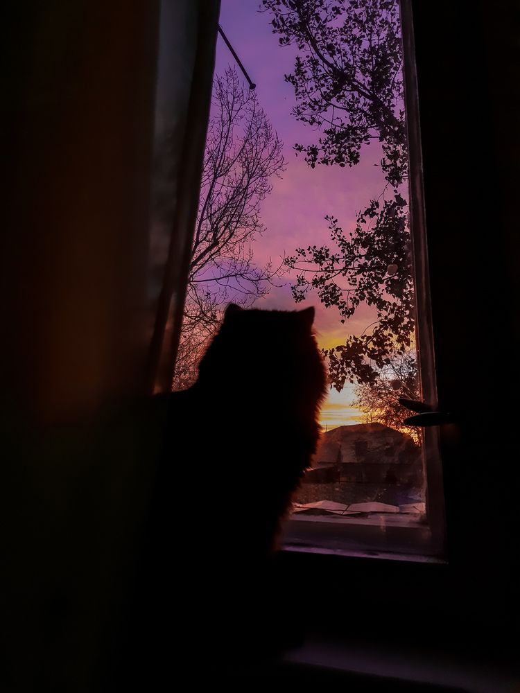 Photograph by Марина Шаповаленко