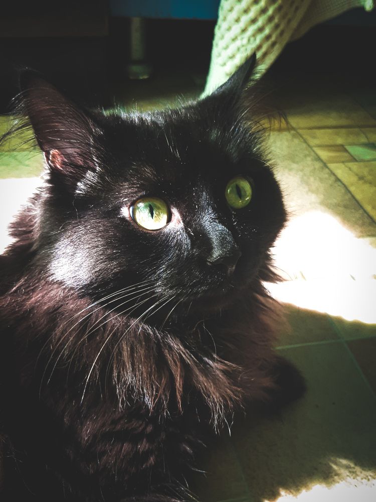 Photograph by Марина Шаповаленко