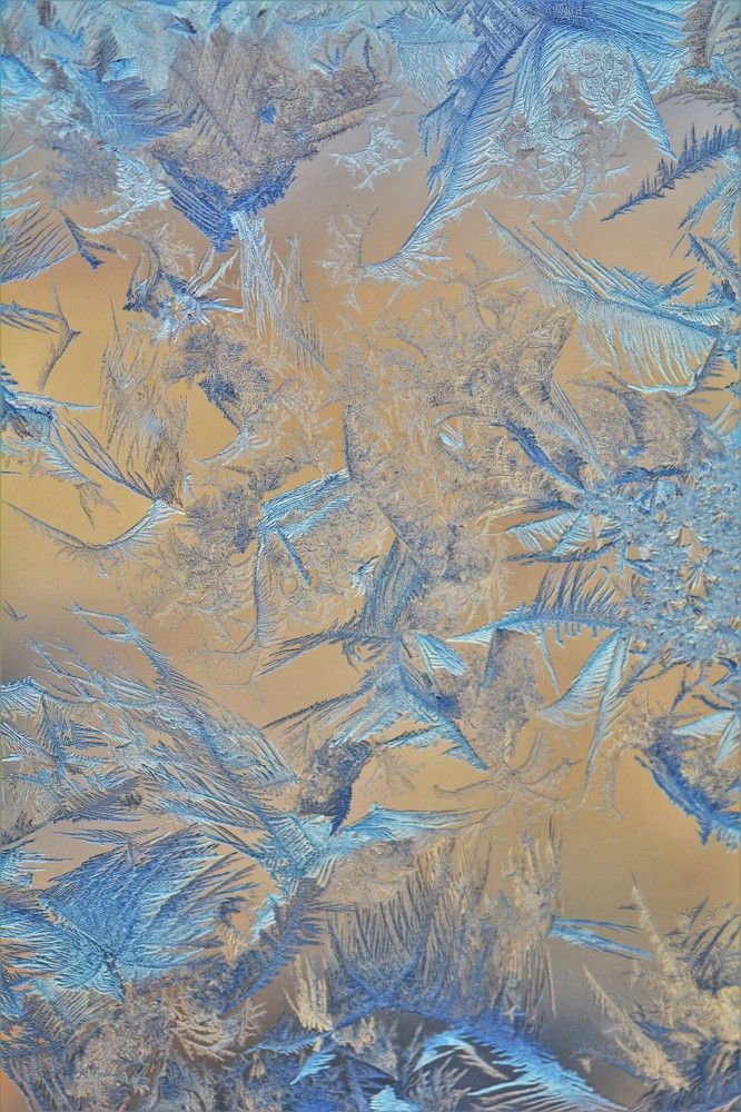 Photograph by Анатолий Каминский