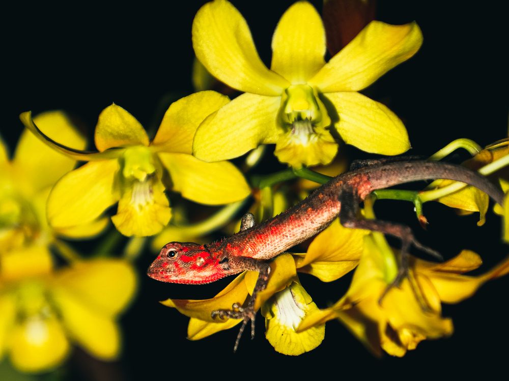 Фотография автора Evgeny Gorbunov