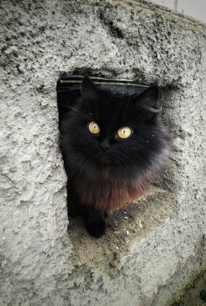 Photograph by Юлия Полуяхтова