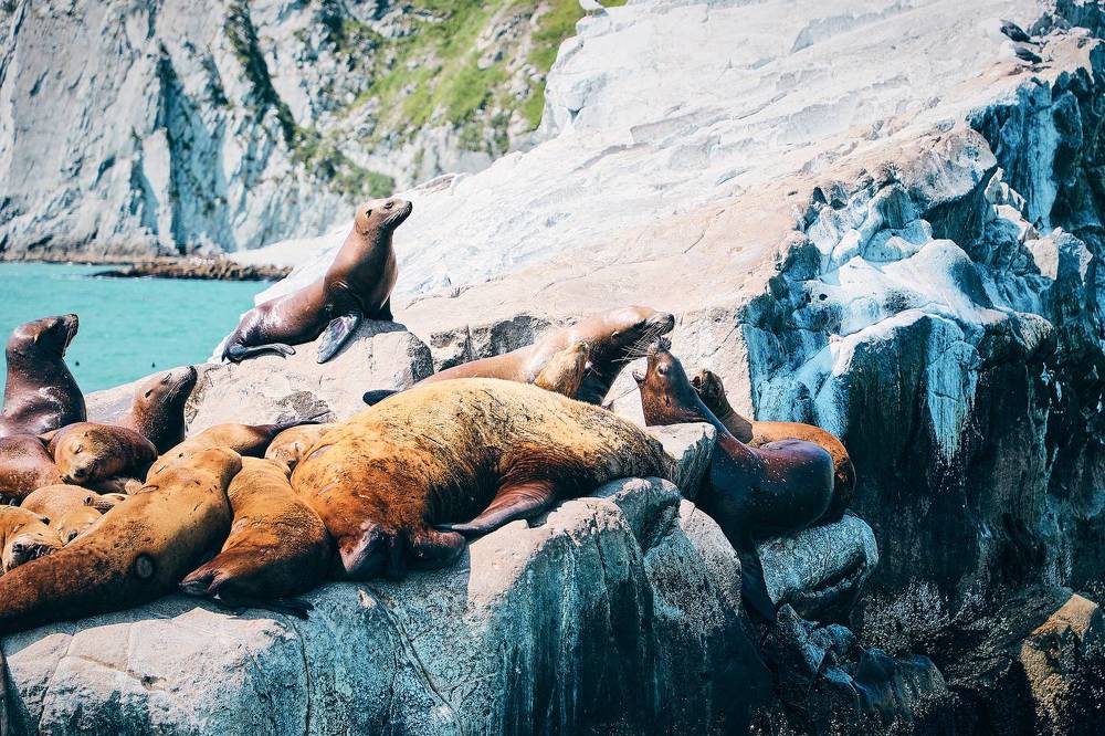 Фотография автора Evgeny Gorbunov