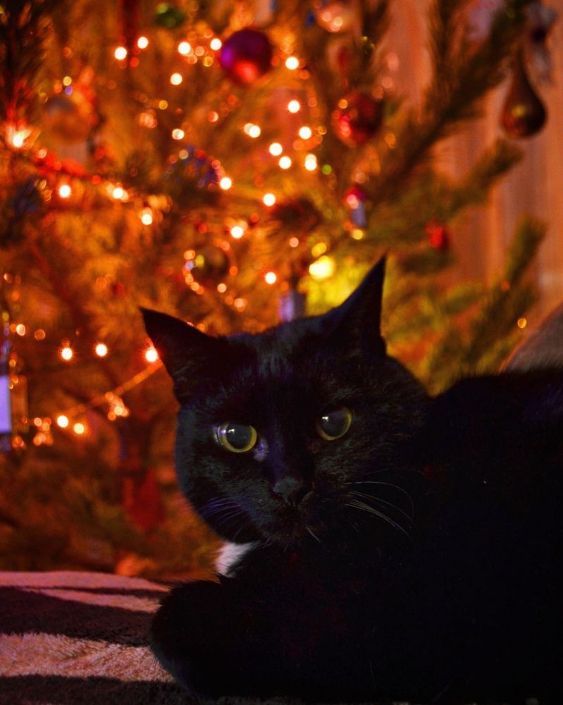 Photograph by Валентина Евгеньевна Семина