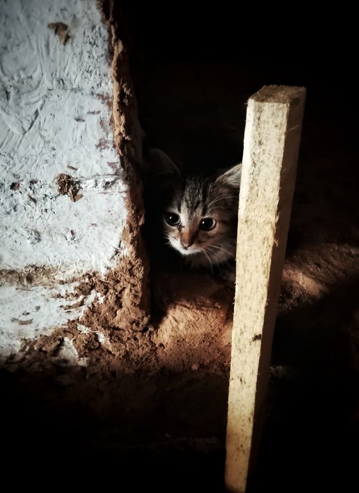 Photograph by Юлия Полуяхтова
